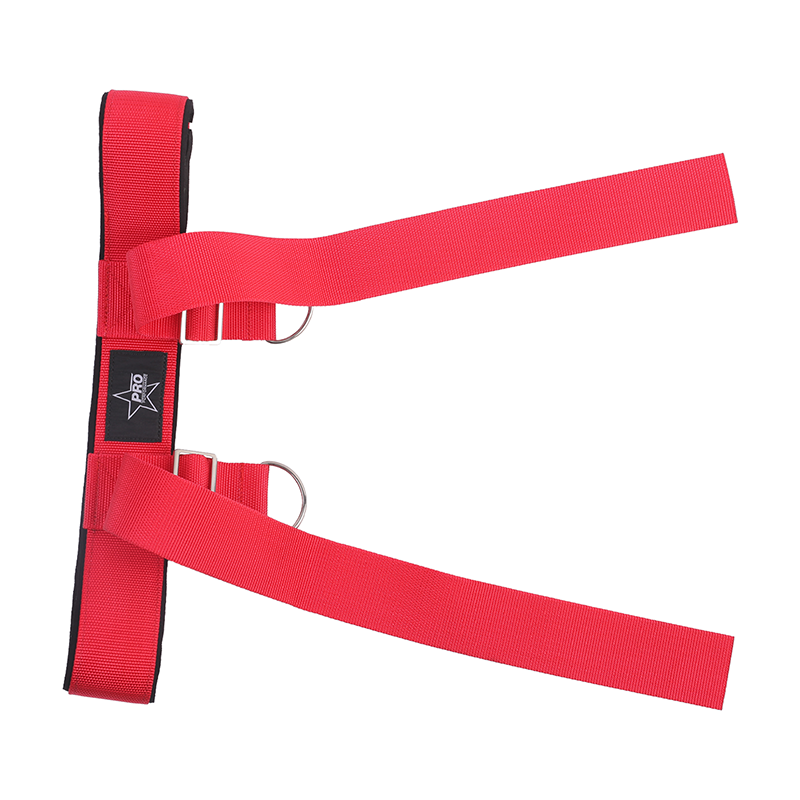 Dinamic Balance Trainer